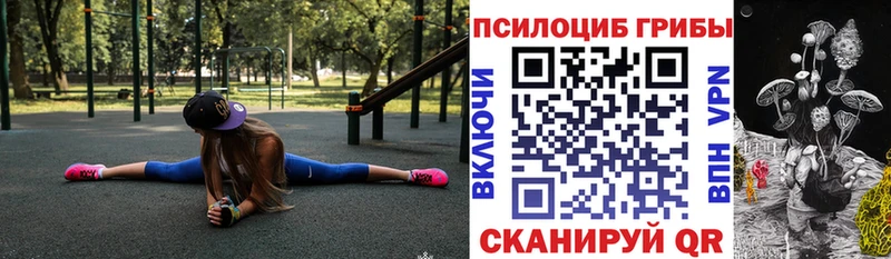 Галлюциногенные грибы Magic Shrooms  Новошахтинск 