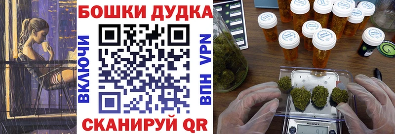 Бошки марихуана Amnesia  мега   Новошахтинск  цены  